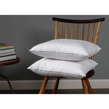 Wayfair shop pillow inserts